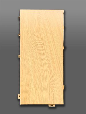 高級 工芸 型 アルミ プラネル 建築 造形 を 新しい レベル に 上げ て くれる