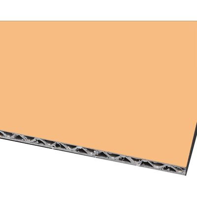 アルミニウム3Dコアパネル 熱耐性再定義 温度変化にシームレスに適応するために設計 持続的な構造的整合性のためにストレスによる損傷を防ぐ 3Dパターン